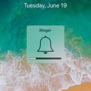 Meet your Posher, Shanell